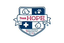 Team HOPE公式サイトをリニューアルしました